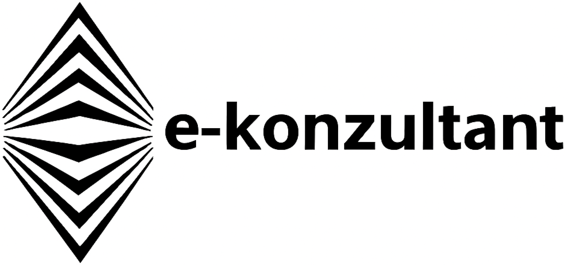 e-konzultant